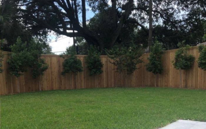 New Orleans Fence Trends 2019