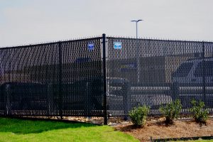 PVC Coated Chain Link Fence
