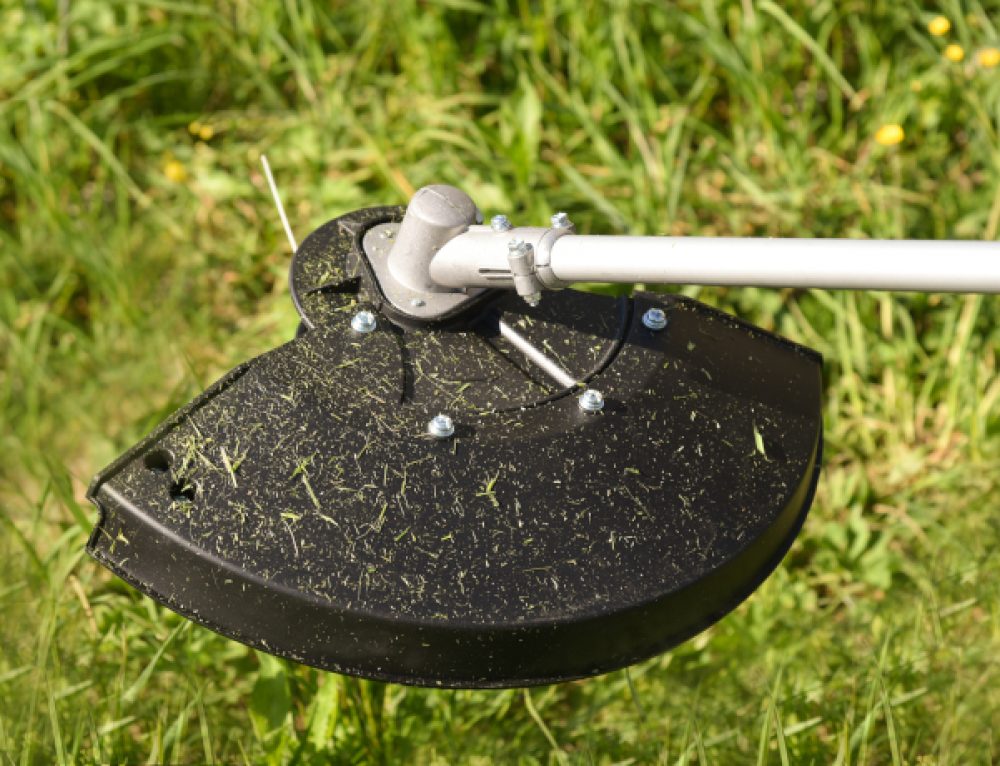 Can You Paint Your Fence When It Rains? Amko Fence