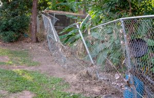 Caring for your fence